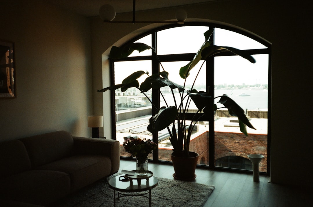 adding a bay window before and after