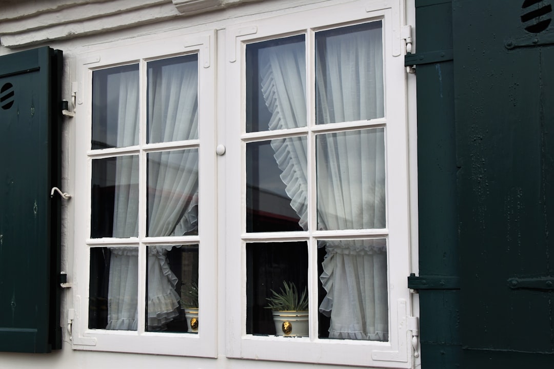 window replacement company