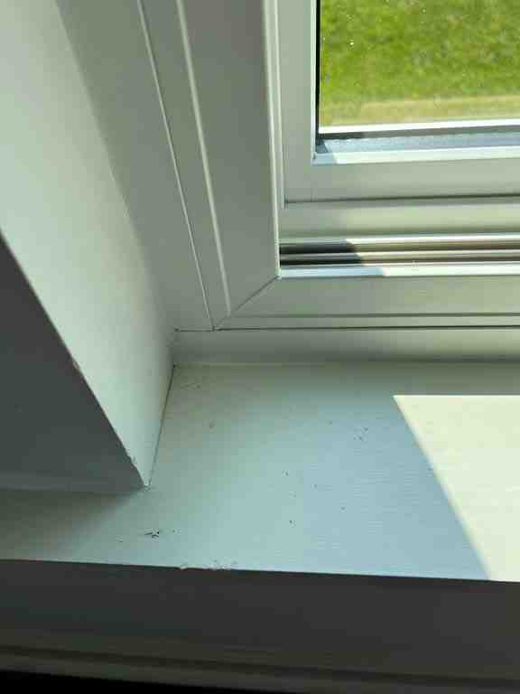 custom window installation